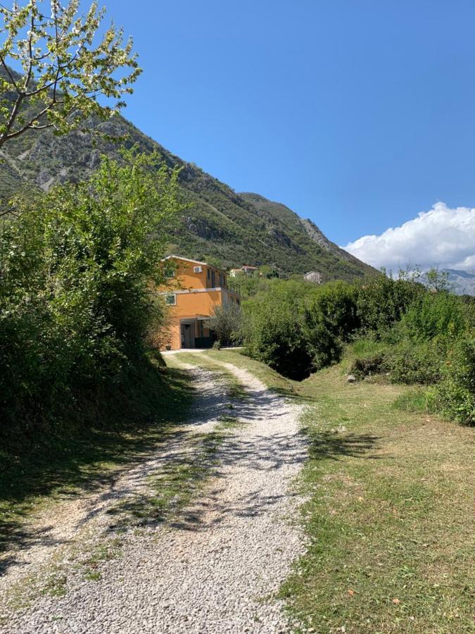 Apartman Barbara Kotor Kültér fotó