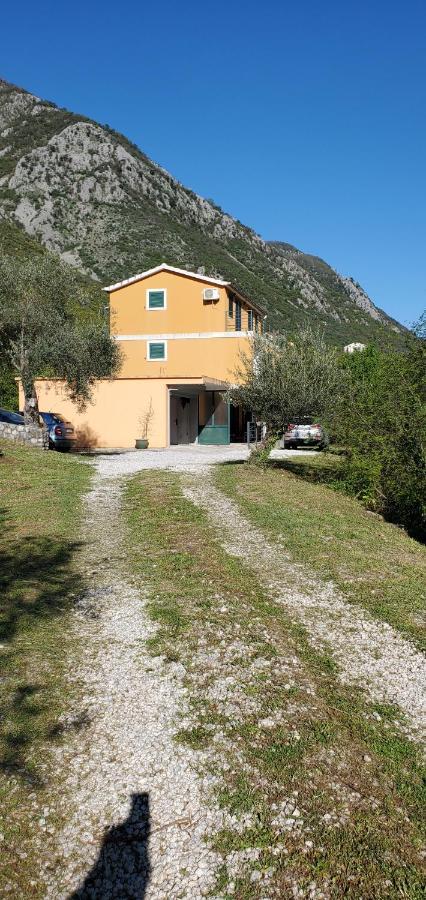 Apartman Barbara Kotor Kültér fotó