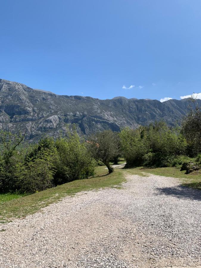 Apartman Barbara Kotor Kültér fotó