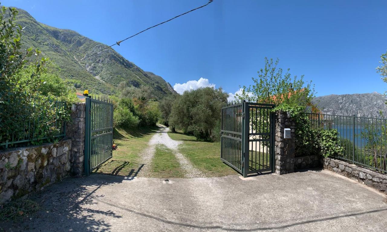 Apartman Barbara Kotor Kültér fotó