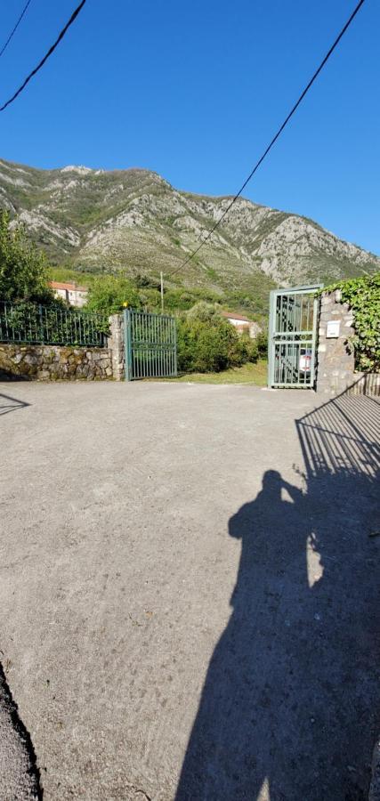 Apartman Barbara Kotor Kültér fotó