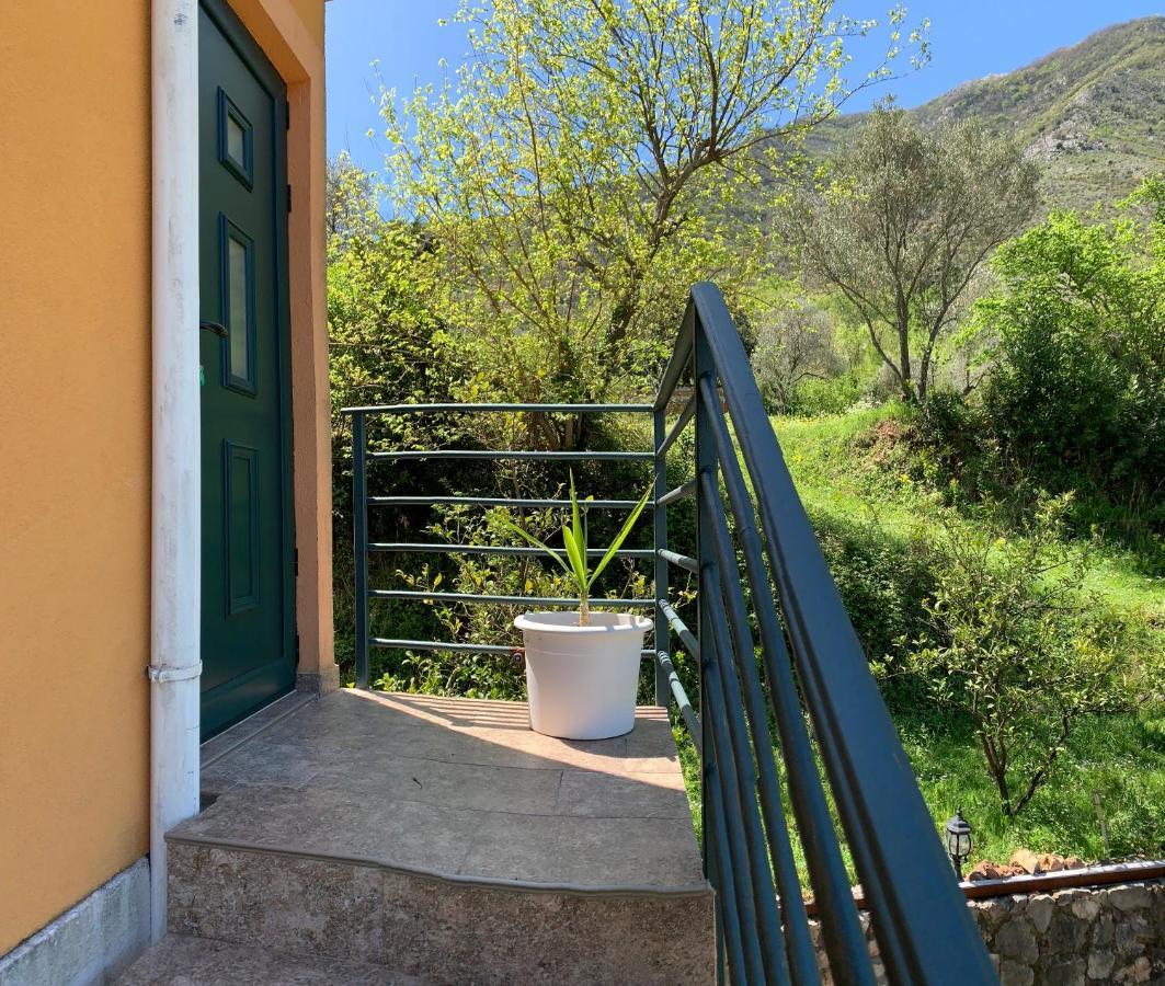 Apartman Barbara Kotor Kültér fotó